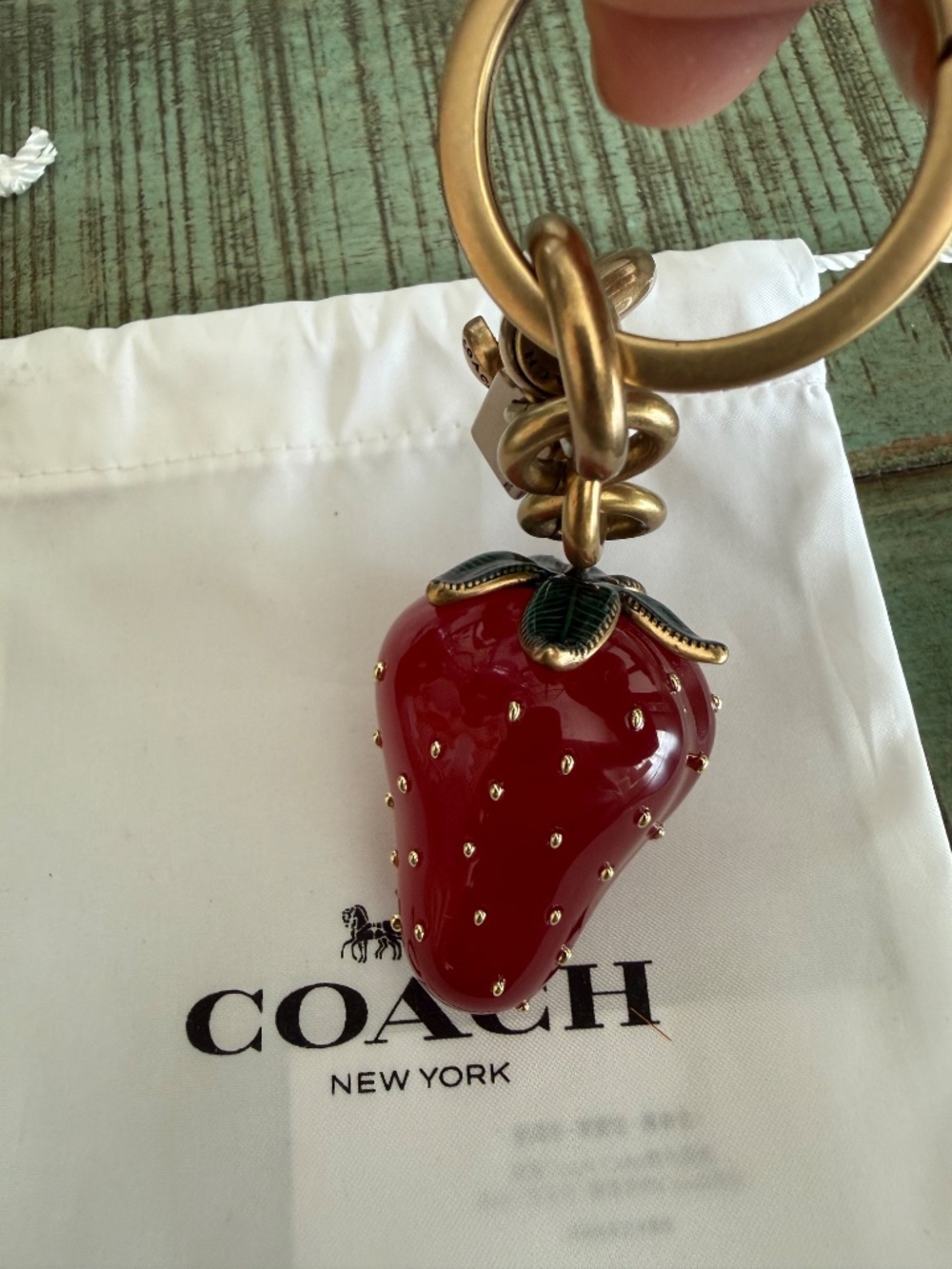 Coach Strawberry Bag Charm